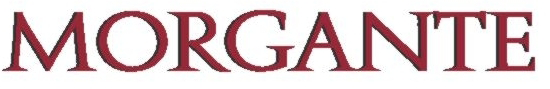 MORGANTE SRL Logo